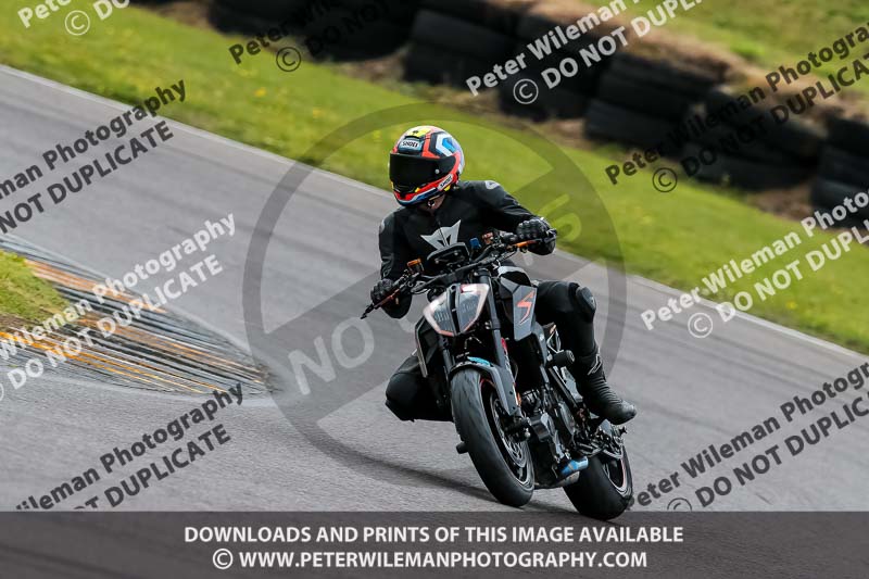 PJ Motorsport 2019;anglesey no limits trackday;anglesey photographs;anglesey trackday photographs;enduro digital images;event digital images;eventdigitalimages;no limits trackdays;peter wileman photography;racing digital images;trac mon;trackday digital images;trackday photos;ty croes